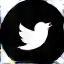 X (formerly Twitter) icon